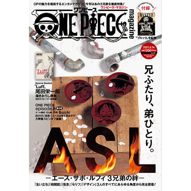 ONE PIECE magazine Vol.12